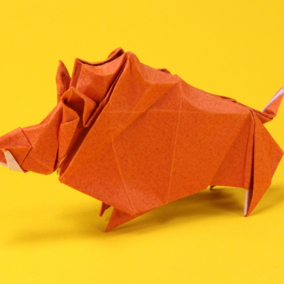 origami-6.jpg