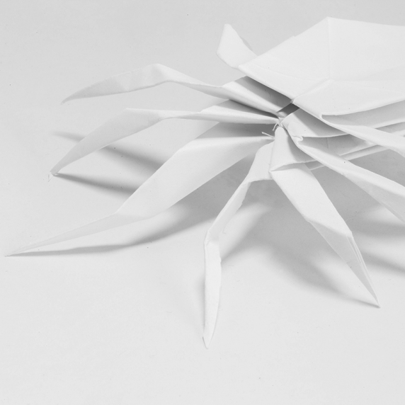 origami-spider.jpg